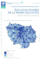 Couverture de la publication : Les allocataires de la prime d’activité en Île-de-France au 30 juin 2019